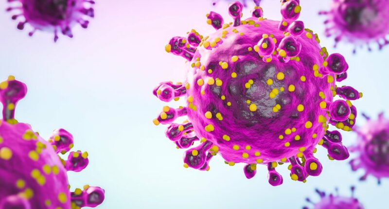 Alert issued by health chiefs after oropouche virus is detected in three Britons, these are the warning signs of 'sloth fever'