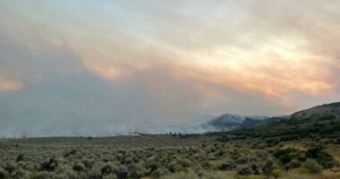 American Red Cross opens shelters for residents impacted by Colorado wildfires
