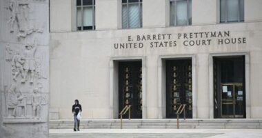 Appeals court orders Trump admin to restore public funding tracker 
