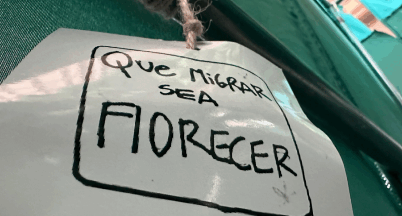Art exhibit documents the heartbreak of migration