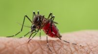 As China reports 10,000 cases of organ-destroying virus how worried should we be? 'Pain can last months'