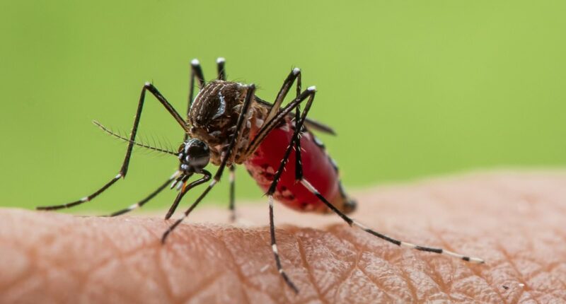 As China reports 10,000 cases of organ-destroying virus how worried should we be? 'Pain can last months'