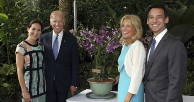 Ashley Biden files for divorce from plastic surgeon after 13 years