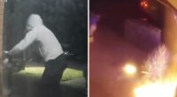 Barking dog alerts woman with partial deafness to arson attack on home