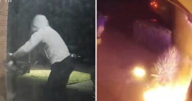 Barking dog alerts woman with partial deafness to arson attack on home
