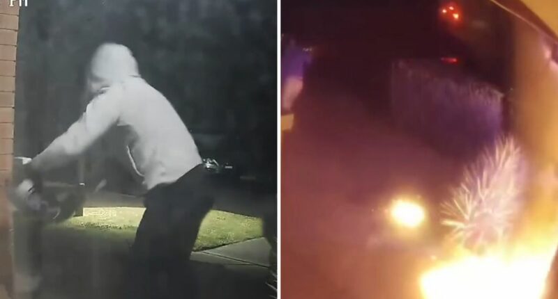 Barking dog alerts woman with partial deafness to arson attack on home