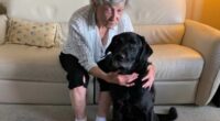 Blind woman can now see through her TOOTH thanks to rare surgery