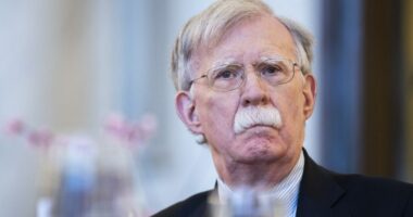Bolton: Trump tariffs may push India closer to Russia, China