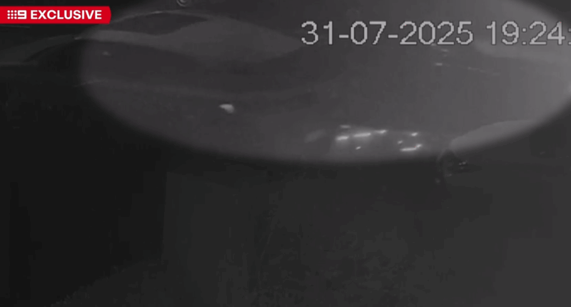 CCTV captures moments after sacked Fox Sports reporter's alleged drunken crash