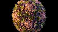 CDC issues travel warnings for five new countries over 'crippling and deadly' disease