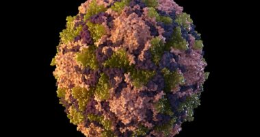 CDC issues travel warnings for five new countries over 'crippling and deadly' disease