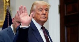 CNN expert praises president Trump's use of tariffs