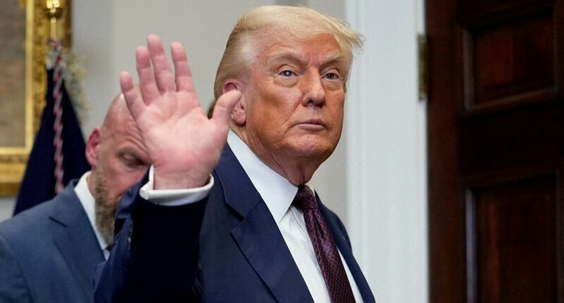 CNN expert praises president Trump's use of tariffs