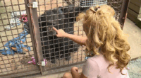 Chimp Crazy's Tonia Haddix sentenced to 46 months in prison