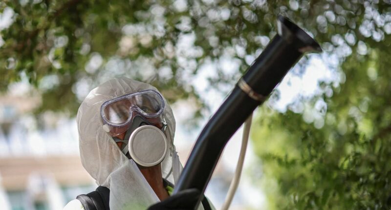 China records more cases of deadly chikungunya virus as country battles 'largest outbreak ever'