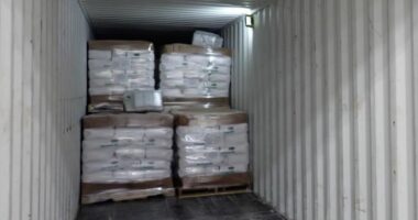Cocaine haul worth $26m found inside shipping container