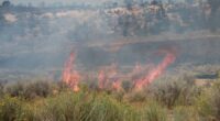 Colorado correctional center evacuated due to wildfire threat