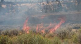 Colorado correctional center evacuated due to wildfire threat