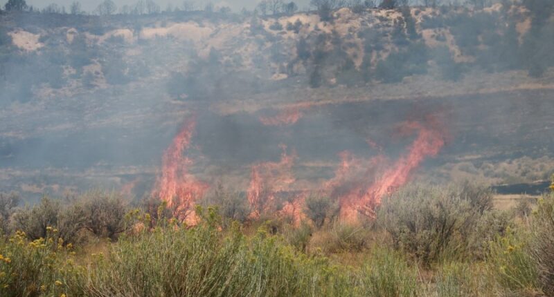 Colorado correctional center evacuated due to wildfire threat