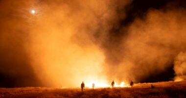 Colorado wildfires: Lee Fire grows to more than 100K acres amid 'near-critical' weather