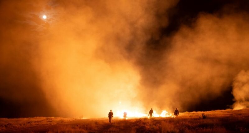 Colorado wildfires: Lee Fire grows to more than 100K acres amid 'near-critical' weather