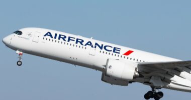 Content creator documents ordeal on board recent Air France flight