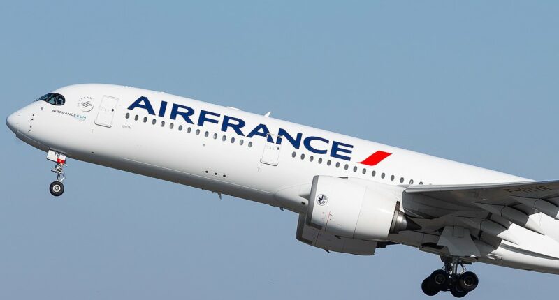 Content creator documents ordeal on board recent Air France flight