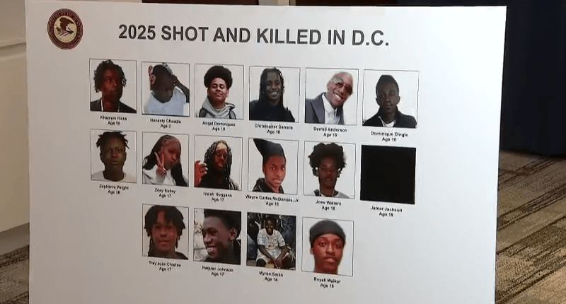 DC Attorney Jeanine Pirro blames illegal guns for youth deaths