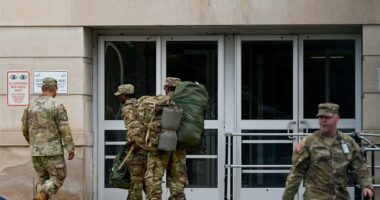 DOD reportedly prepping a civil unrest 'reaction force'