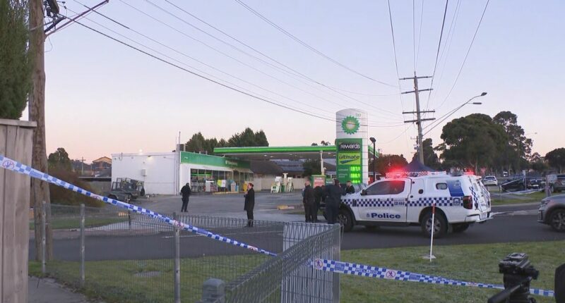 Dandenong stabbing a 'targeted' attack, police believe