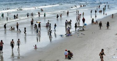 Deadly flesh-eating bacteria spread across beaches... as cases surge in terrifying rise