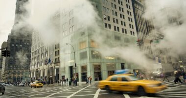 Deadly vapor claims fifth Manhattan victim: Doctors list no-go areas... and reveal 'mind-altering' symptoms that mimic flu but can kill in days
