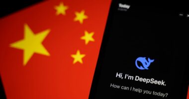DeepSeek hints latest model compatible with China’s ‘next generation’ homegrown AI chips