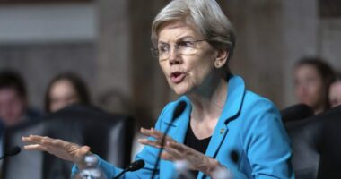 Democrats launch probe into DOGE staffers embedded across agencies
