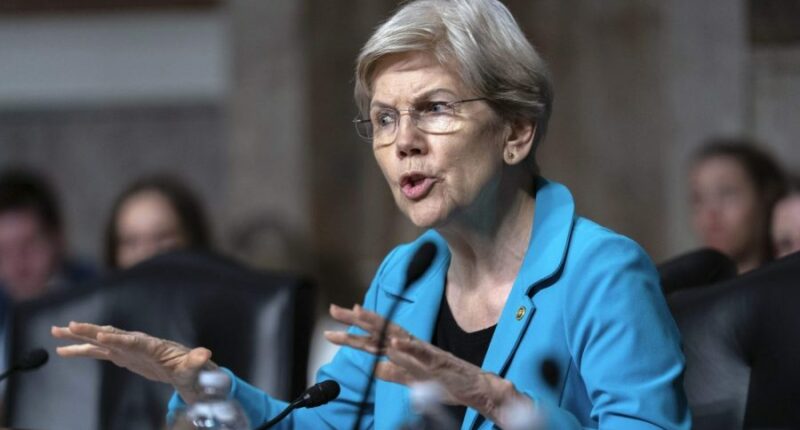 Democrats launch probe into DOGE staffers embedded across agencies
