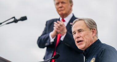 Does Texas Gov. Greg Abbott have the power to vacate House seats?