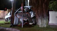 Driver allegedly flees scene, dumps number plates after woman critically injured in crash