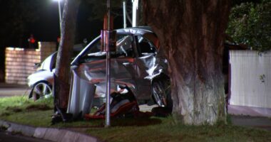 Driver allegedly flees scene, dumps number plates after woman critically injured in crash