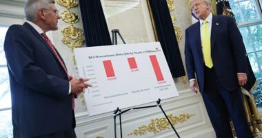 Economist in Trump's BLS fight: Job estimating due for revamp