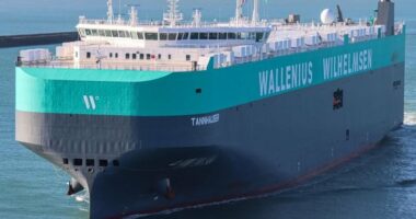 Egyptian asylum seeker dies trying to jump onto ship to Canada