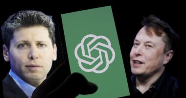 Elon Musk Says Grok Will Be Fixed After It Sided With OpenAI CEO In Heated Argument