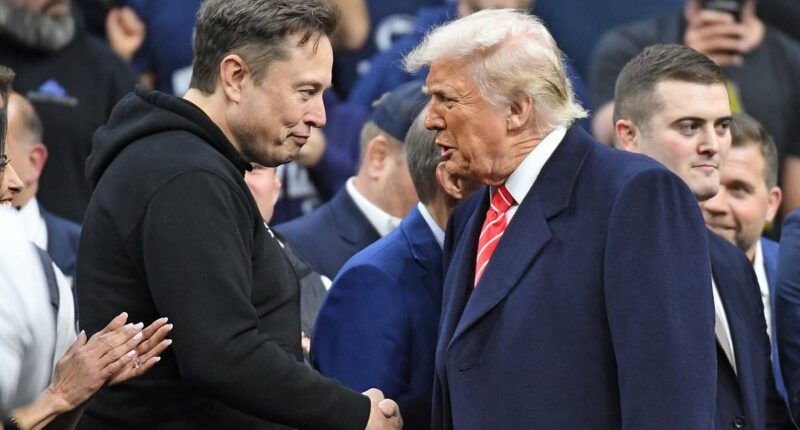 Elon Musk staged secret $15M plot to desperately win back Trump after falling out