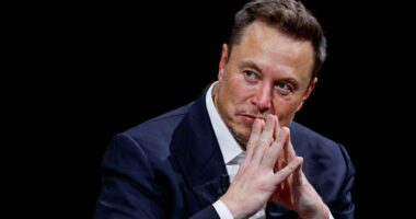 Elon Musk's Tesla gears up to sell energy to UK homes as new household supplier
