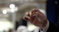 Elon Musk's brain chips to be tested on Britons in new clinical trial