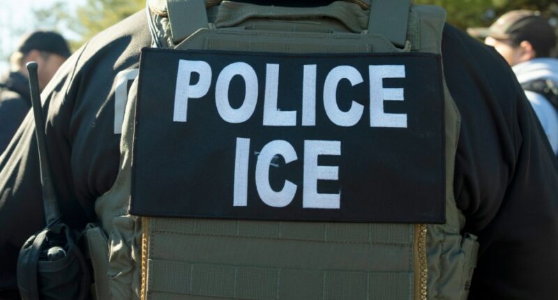 Federal agents fire on vehicle during Calif. standoff, DHS confirms