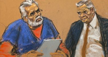 Former cartel kingpin apologises for 'great harm' in US court