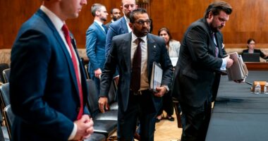 GOP's FBI talk on Texas sparks firestorm with Democrats