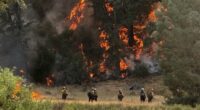 Gifford Fire burns more than 125K acres across central California
