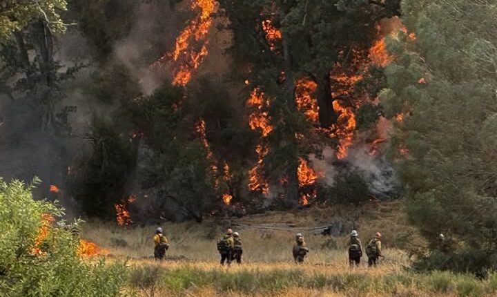 Gifford Fire burns more than 125K acres across central California