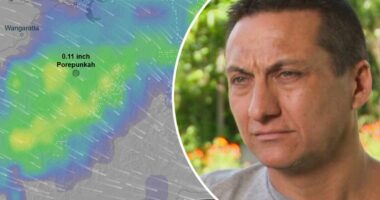 Hail, storm could confront police hunting alleged cop-killer